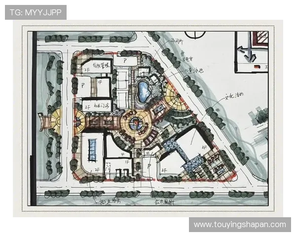 全面解析回力球场平面图的标准尺寸与布局要点，提升场地使用效率