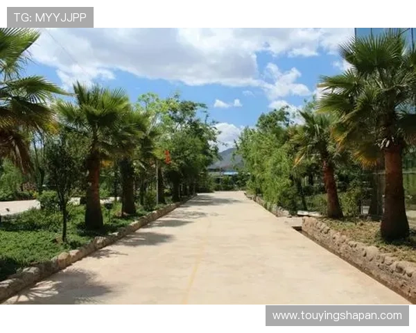 会理娱乐场所全面介绍:提供丰富娱乐体验的最佳选择指南 会理娱乐场所全面介绍:提供丰富娱乐体验的最佳选择指南