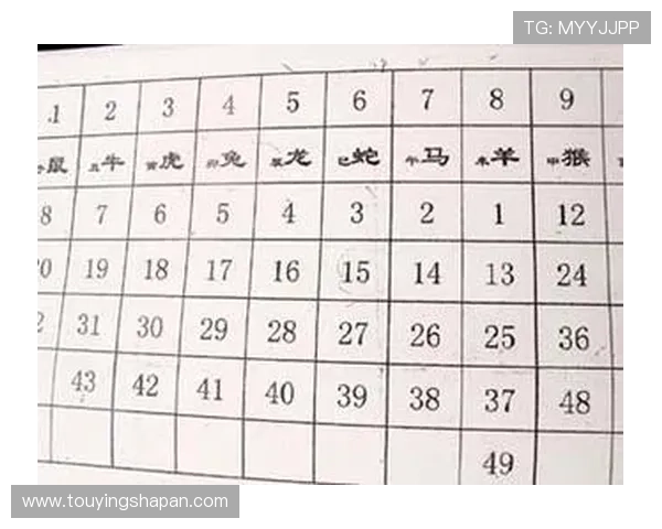 六合彩真人版游戏中常见的技巧与策略分享帮助玩家提高中奖率